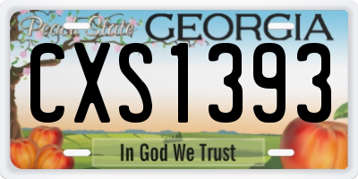 GA license plate CXS1393
