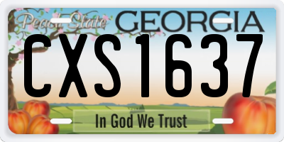 GA license plate CXS1637
