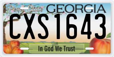 GA license plate CXS1643