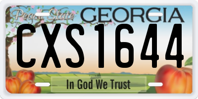 GA license plate CXS1644