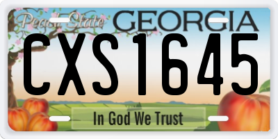 GA license plate CXS1645