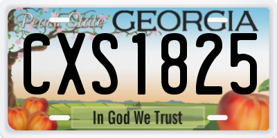 GA license plate CXS1825