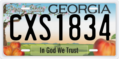 GA license plate CXS1834