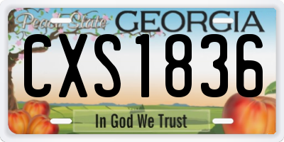 GA license plate CXS1836