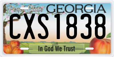 GA license plate CXS1838