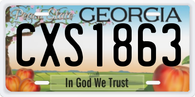 GA license plate CXS1863