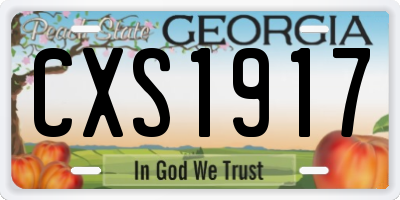 GA license plate CXS1917