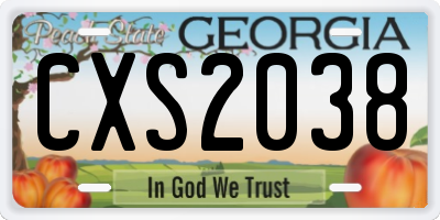 GA license plate CXS2038