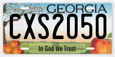 GA license plate CXS2050