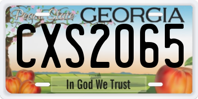 GA license plate CXS2065