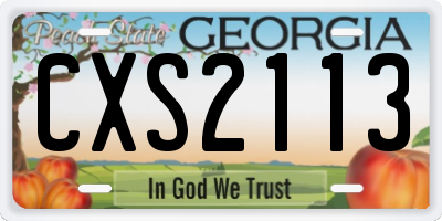 GA license plate CXS2113