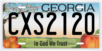 GA license plate CXS2120