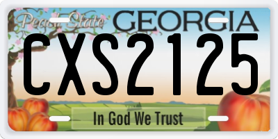 GA license plate CXS2125