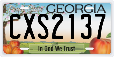 GA license plate CXS2137