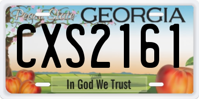 GA license plate CXS2161