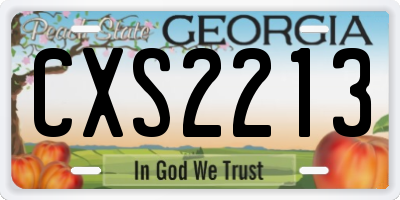 GA license plate CXS2213