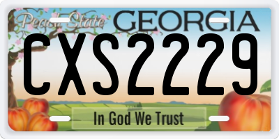 GA license plate CXS2229