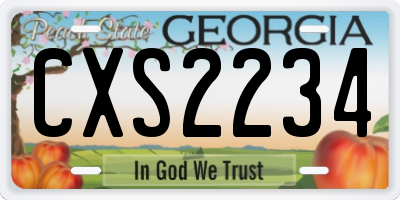 GA license plate CXS2234