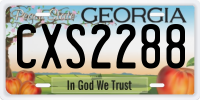 GA license plate CXS2288