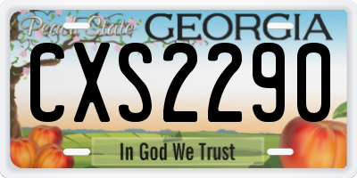 GA license plate CXS2290