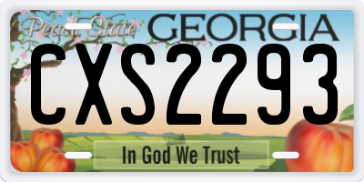 GA license plate CXS2293