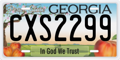 GA license plate CXS2299