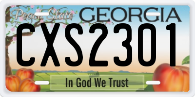 GA license plate CXS2301