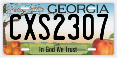 GA license plate CXS2307