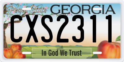 GA license plate CXS2311