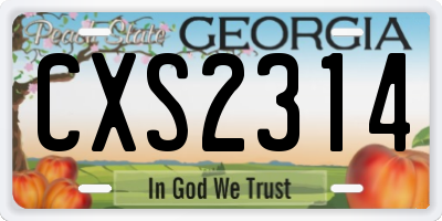 GA license plate CXS2314