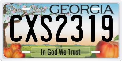GA license plate CXS2319