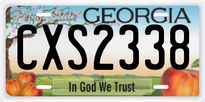 GA license plate CXS2338