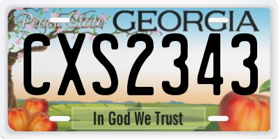 GA license plate CXS2343