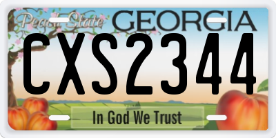 GA license plate CXS2344