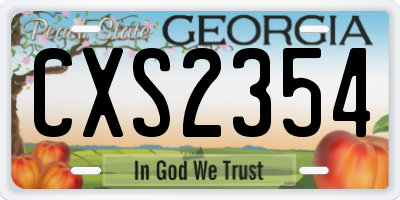GA license plate CXS2354