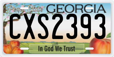 GA license plate CXS2393