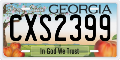 GA license plate CXS2399