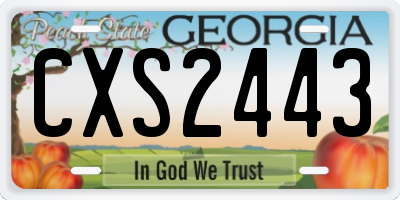 GA license plate CXS2443