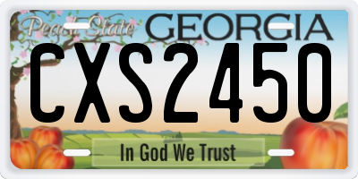 GA license plate CXS2450