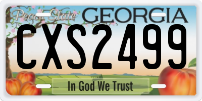 GA license plate CXS2499