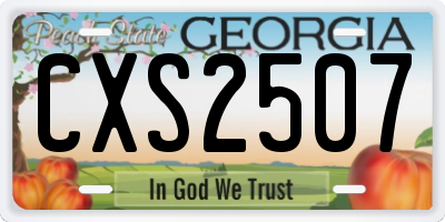 GA license plate CXS2507