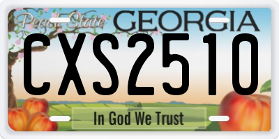 GA license plate CXS2510