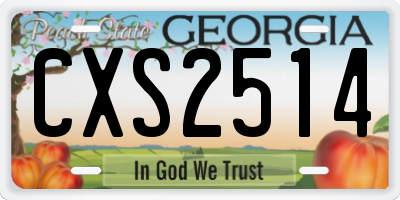 GA license plate CXS2514