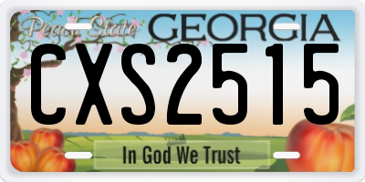 GA license plate CXS2515