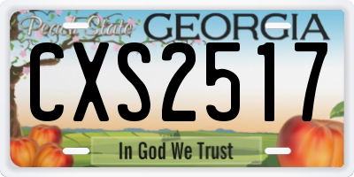 GA license plate CXS2517