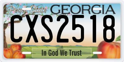 GA license plate CXS2518