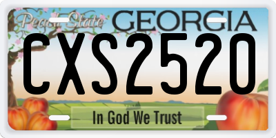 GA license plate CXS2520