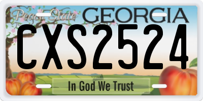 GA license plate CXS2524