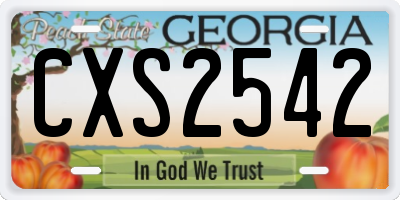 GA license plate CXS2542