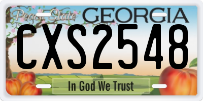GA license plate CXS2548